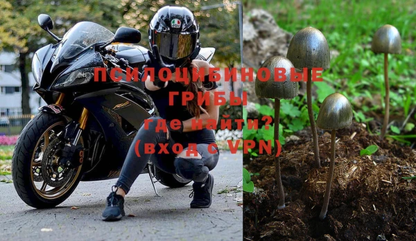 МДМА Протвино