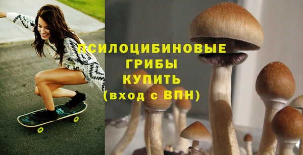 МДМА Пролетарск