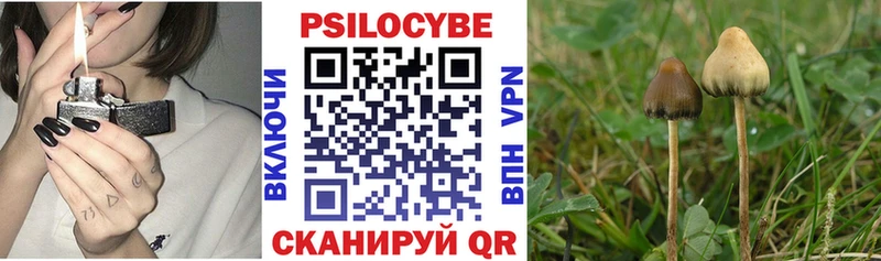 Псилоцибиновые грибы мухоморы  купить наркоту  Сосногорск 
